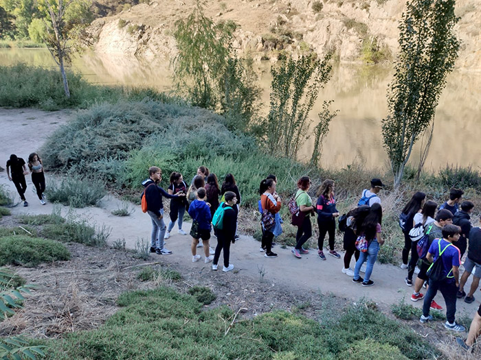 Recorriendo Toledo - Condestable Saludable