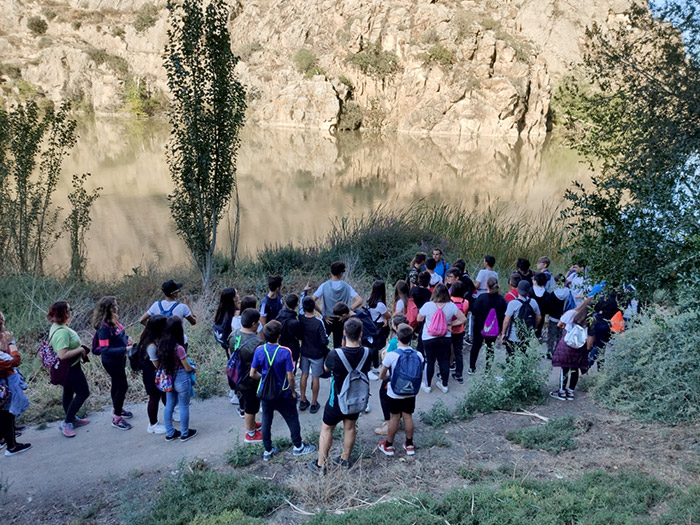 Recorriendo Toledo - Condestable Saludable