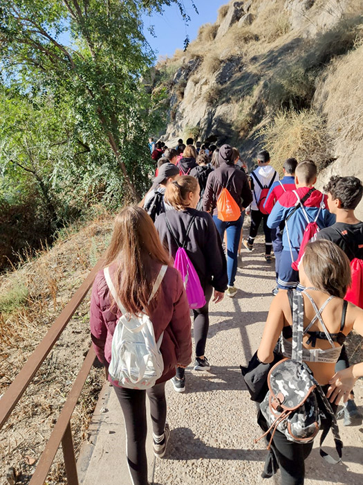 Recorriendo Toledo - Condestable Saludable